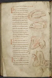 Diverse arbeider om databehandling og astronomi, Royal MS 13 A XI