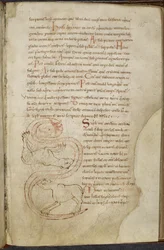 Diverse arbeider om databehandling og astronomi, Royal MS 13 A XI