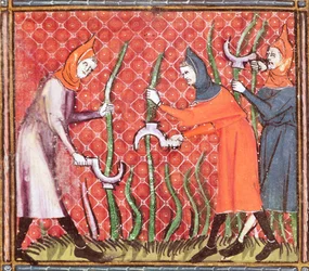 Ms 1044 f.120 Cutting Trees, fra Ovide Moralise skrevet av Chretien Legouais