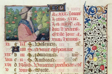 Ms 134 April: Plukke blomster, fra en timebok