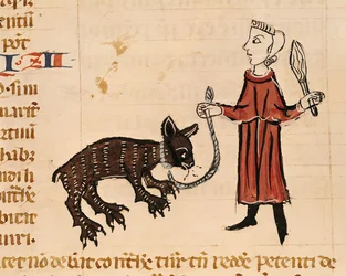 Ms. 372, fol. 241v: En bjørnetemmer, fra Gratians dekret