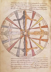 Ms 422 fol.6v Årstidene og månedenes hjul, fra De Natura Rerum av St. Isidore of Sevilla