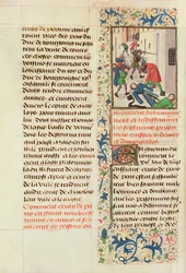 Fr 2680 fol.260v Pariserne dreper fangene i Laon