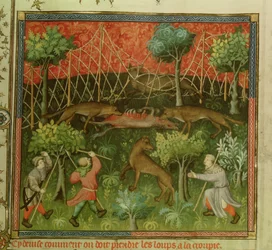 Fr 616 fol.111 Ulvejakt ved hjelp av garn, fra Livre de la Chasse av Gaston Phebus de Foix (1331-91)