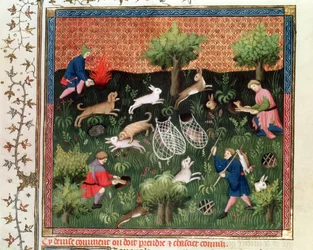 Fr 616 fol.92 Harejakt, fra Livre de la Chasse av Gaston Phebus de Foix (1331-91), sent på 1400-tallet