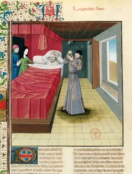 Ms Fr 9140 fol.120v En lege som utfører en urinanalyse, fra Livre des Proprietes des Choses av Barthelemy lAnglais, 1480