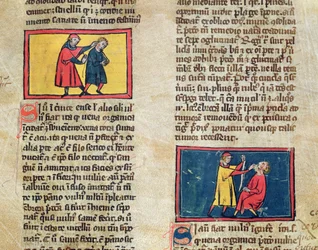 Ms H 89 Leger og pasienter, fra en utgave av Book of Surgery av Rogier de Salerne