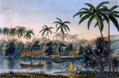 En del av landsbyen Matavae, kokospalmer og annen frukt, Tahiti, fra Voyage around the World on the Corvette Coquille av løytnant Louis Isodore Duperrey, utgitt 1826