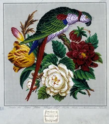 Mønster for korsstingbroderi (papegøye) - i "" Journal des Demoiselles"" 1852.