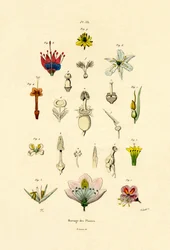 Planteavl, 1833-39