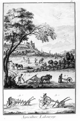 Plate av Encyclopedia of Diderot and Alembert: Agriculture and Ploughing. 18. århundre.