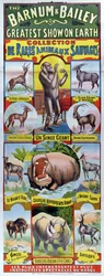 Plakat som reklamerer for Collection de Rares Animaux Sauvages for Barnum og Bailey-sirkuset