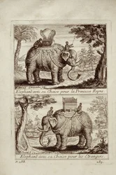 Kongelige elefanter, fra Voyage du Siam des Peres Jesuites av Guy Tachard, 1688
