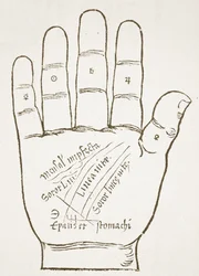 The Right Hand, Principal Lines, kopi av en illustrasjon fra Chiromantia av Ioannes ab Indagine, 1531, brukt i en History of Magic, utgitt sent på 1800-tallet