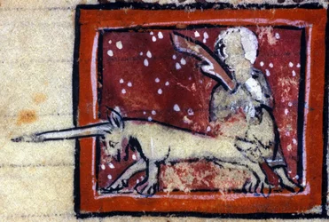 Jomfruen og enhjørningen (Enhjørning) - Fransk bestiarium på 1300-tallet. Milano, Biblioteca Trivulziana.
