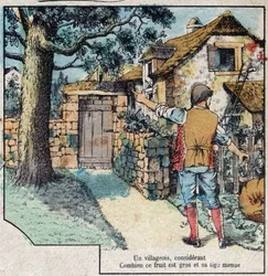 The acorn and the pumpkin. Fables by Jean de La Fontaine (1621-95).Imaging of Epinal from the end of the 19th century.