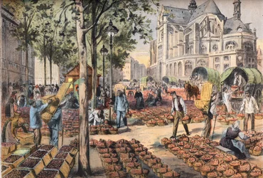 Ankomsten av jordbær på flisene i hallene bak kirken Saint Eustache, fra avisen "Le Petit Parisien""