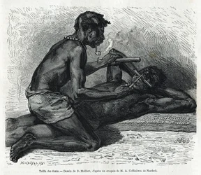 Størrelsen på tennene i Okanda, tegning av D. Maillard, for å illustrere historien om en tur til Gabon og elven Ogoue i 1875-1877, av Alfred Marche. Gravering i Le tour du monde