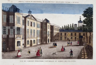 Utsikt over det naturhistoriske kabinettet ved Jardin des Plantes i Paris - gravering