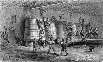 Vindyrking i Medoc: knusing og plassering i kar. Gravering i ""Le Monde Illustre"" nr. 561 av 11. januar 1868.
