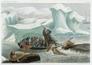 Hvalrossjakt - i "" Le monde de la mer "" av Alfred Fredol, Hachette, Paris