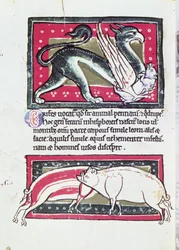 Wild Boar and Griffon, miniatyr fra Saltykowchsh Edrin Bestiary