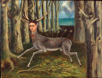 Den sårede hjorten
