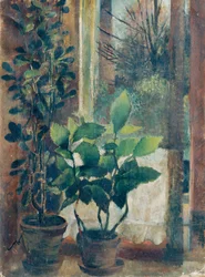 vindu med blomster