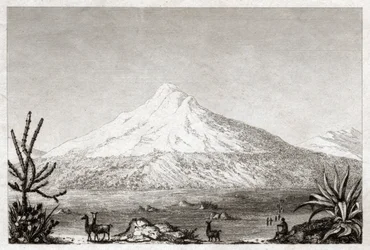 Chimborazo vulkan. (gravering, ca. 1840)