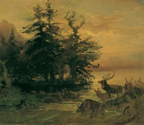Veltrende hjort ved bredden av et fjellvann