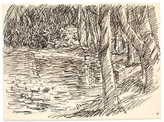 Et skogsvann