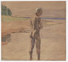 Han står i vannet. Motiv fra Fyns Hoved