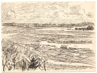 Moserikt landskap