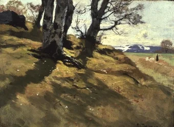 Landskap på Stord, Norge