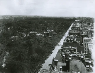 Fifth Avenue, ser nordover fra taket til Metropolitan Club i 61st Street, New York City, ca. 1904