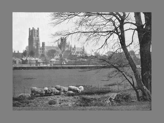 Ely katedral, ca 1900