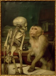 Ape foran et skjelett