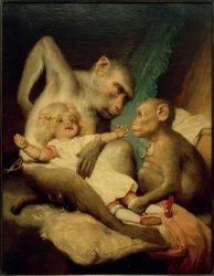 Antropologiske klasser