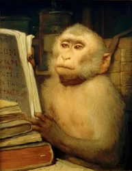 Lesende ape