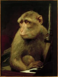 Liten ape ved pianoet