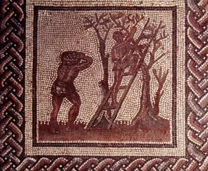 Galloromersk kunst: mosaikkgulv som forestiller en landlig kalender. Scene med olivenplukking. Slutten av 2., begynnelsen av 3. århundre e.Kr. Fra Saint-Romain-en-Gal (Rhône). Saint-Germain-en-Laye, Det nasjonale arkeologiske museet