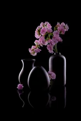 Mørke vaser, rosa blomster