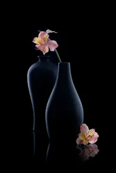 Elegante alstroemeriavaser