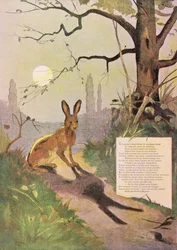 The Ears of the Hare, fra Fables av Jean de La Fontaine (1621-95) (fargegravering)