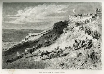 Akabah eller stille opp kameler fra campingvognen. Gravering av G.Vuillier, for å illustrere historien "" pelerinage au Nedjed, den arabiske rasens vugge"", av Lady Anna Blunt, i 1878-1879, publisert i Tour du monde, under ledelse av Edouard Charton (1807-
