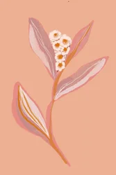 Ferskenblomst