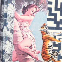 Klatrejente med tiger, 2016 (kollasje)