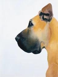 Grand Danois, 2016 (olje på plate)
