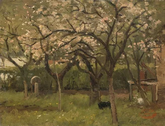 Blomstrende tre i en frukthage