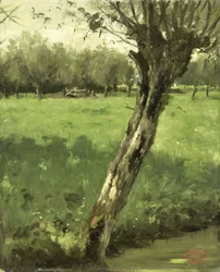 Willow